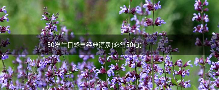 50岁生日感言经典语录(必备50句),第1张