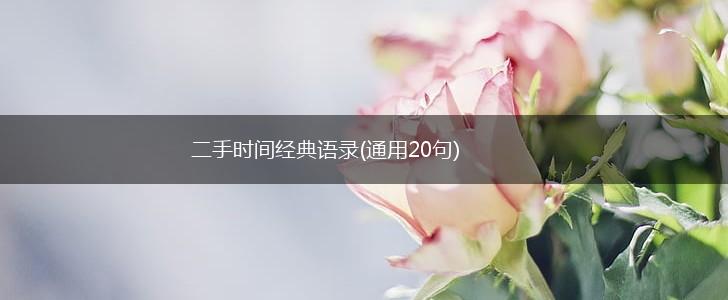 二手时间经典语录(通用20句),第1张
