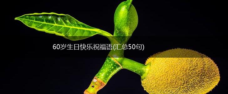 60岁生日快乐祝福语(汇总50句),第1张