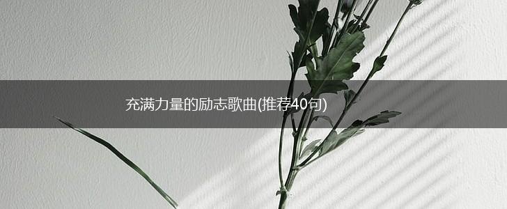 充满力量的励志歌曲(推荐40句),第1张