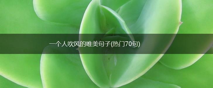 一个人吹风的唯美句子(热门70句),第1张