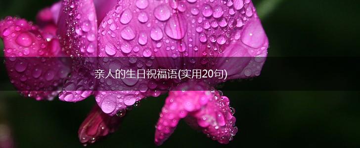 亲人的生日祝福语(实用20句),第1张