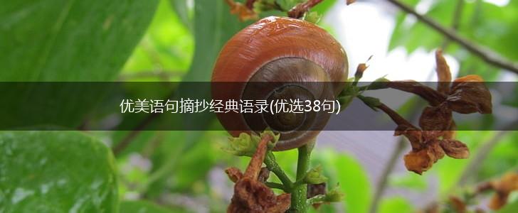 优美语句摘抄经典语录(优选38句),第1张