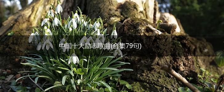 中国十大励志歌曲(合集79句),第1张