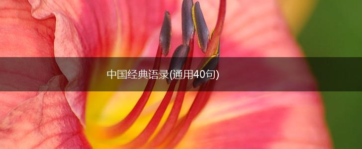 中国经典语录(通用40句),第1张