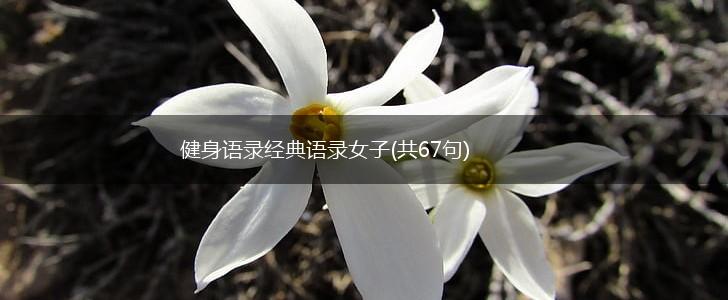 健身语录经典语录女子(共67句),第1张