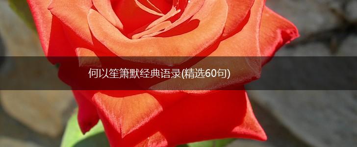 何以笙箫默经典语录(精选60句),第1张