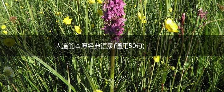 人渣的本愿经典语录(通用50句),第1张