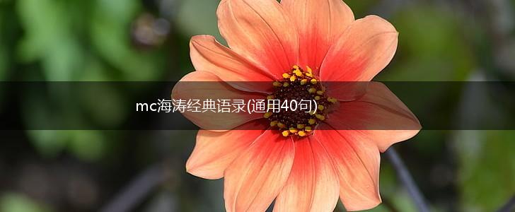 mc海涛经典语录(通用40句),第1张