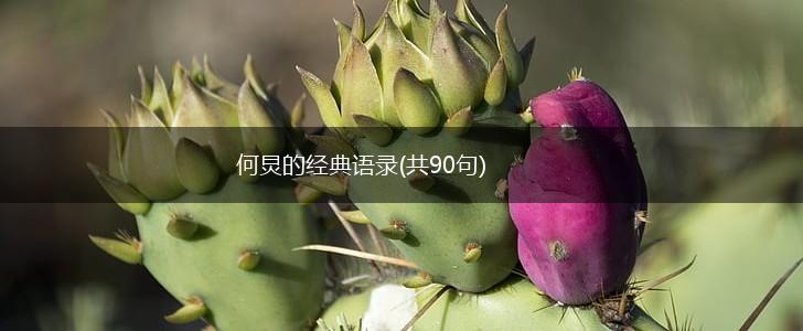 何炅的经典语录(共90句),第1张
