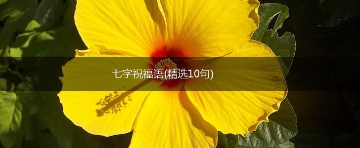 七字祝福语(精选10句),第1张