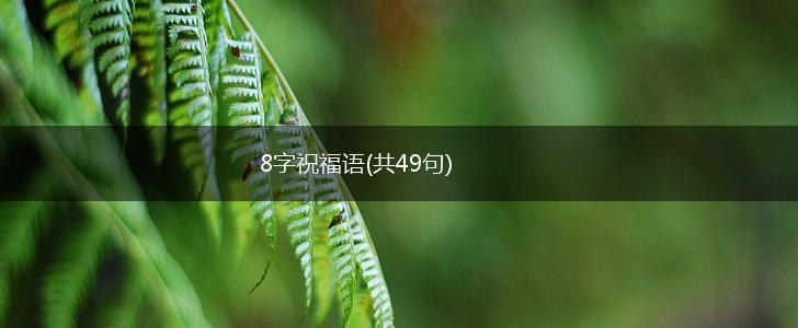 8字祝福语(共49句),第1张