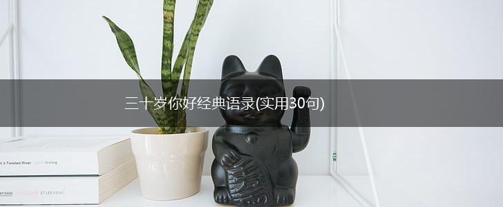 三十岁你好经典语录(实用30句),第1张