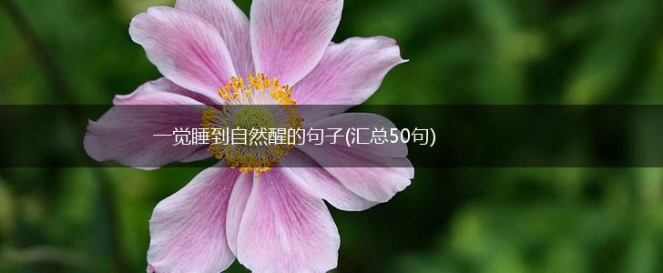 一觉睡到自然醒的句子(汇总50句),第1张