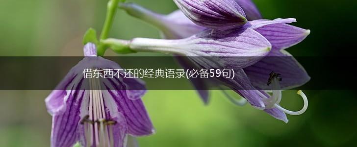 借东西不还的经典语录(必备59句),第1张