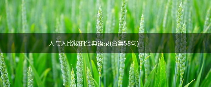 人与人比较的经典语录(合集58句),第1张