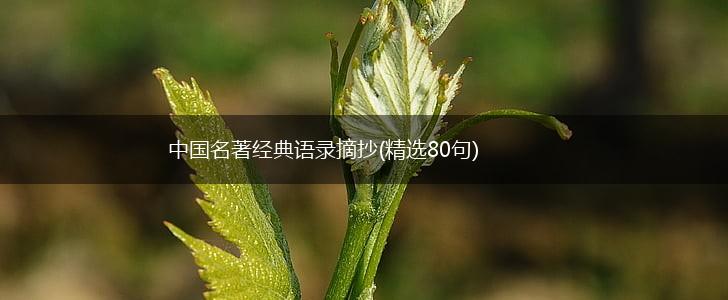 中国名著经典语录摘抄(精选80句),第1张
