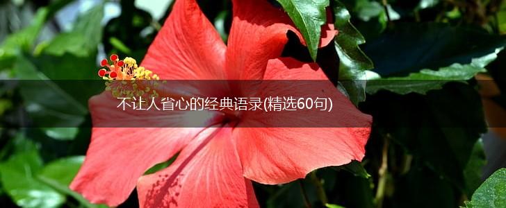 不让人省心的经典语录(精选60句),第1张