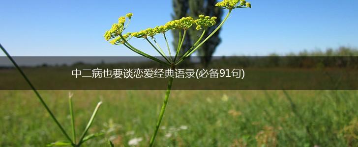 中二病也要谈恋爱经典语录(必备91句),第1张
