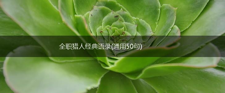 全职猎人经典语录(通用50句),第1张