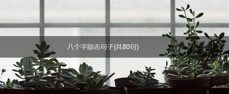 八个字励志句子(共80句),第1张