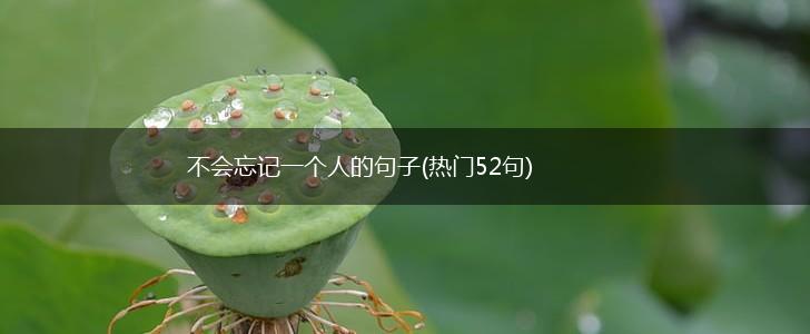 不会忘记一个人的句子(热门52句),第1张