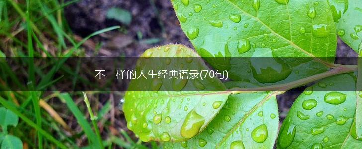 不一样的人生经典语录(70句),第1张