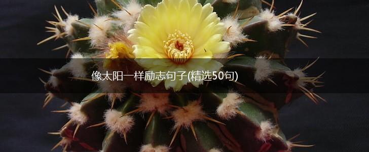 像太阳一样励志句子(精选50句),第1张