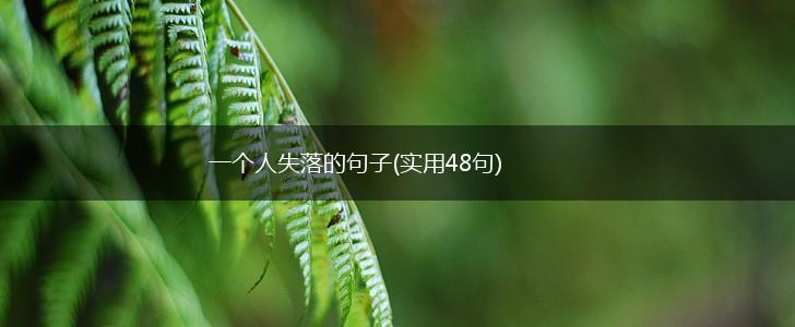 一个人失落的句子(实用48句),第1张