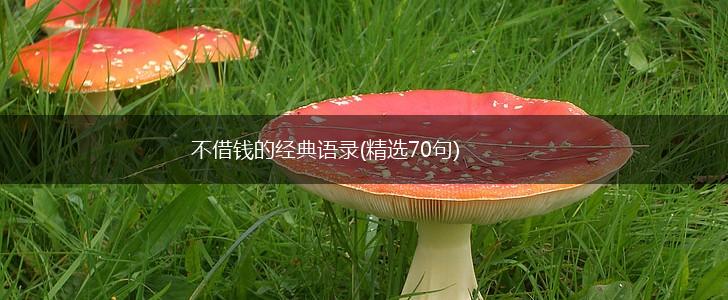 不借钱的经典语录(精选70句),第1张