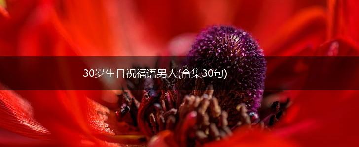 30岁生日祝福语男人(合集30句),第1张