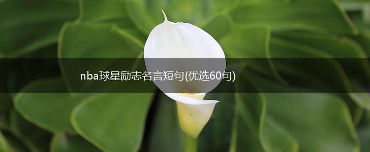 nba球星励志名言短句(优选60句),第1张