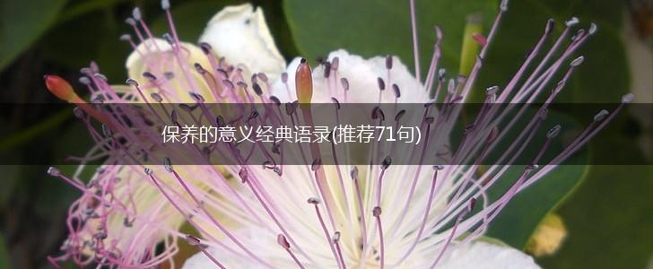 保养的意义经典语录(推荐71句),第1张