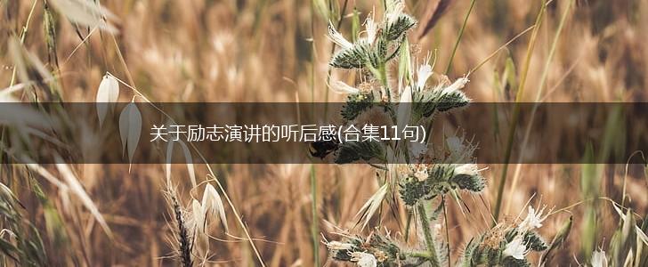 关于励志演讲的听后感(合集11句),第1张