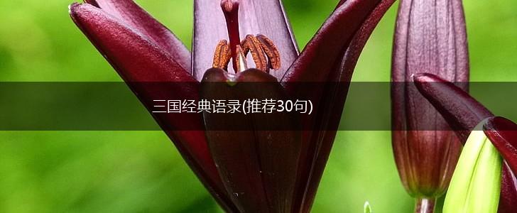 三国经典语录(推荐30句),第1张