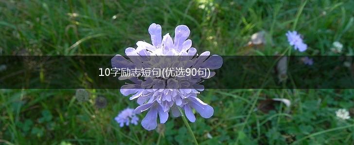 10字励志短句(优选90句),第1张
