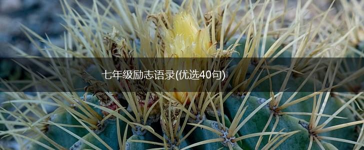 七年级励志语录(优选40句),第1张