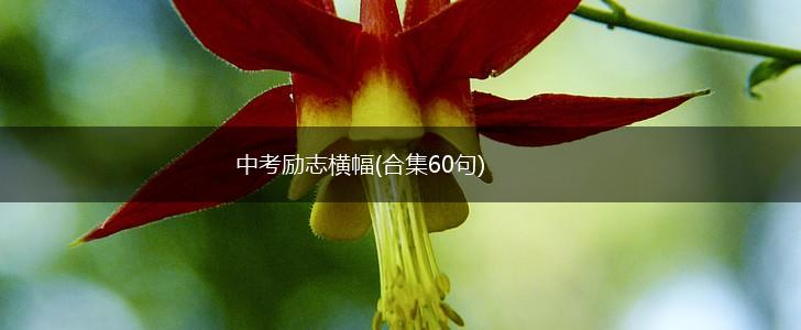 中考励志横幅(合集60句),第1张