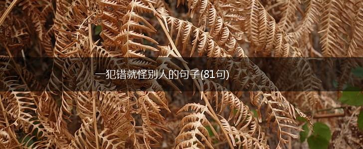 一犯错就怪别人的句子(81句),第1张