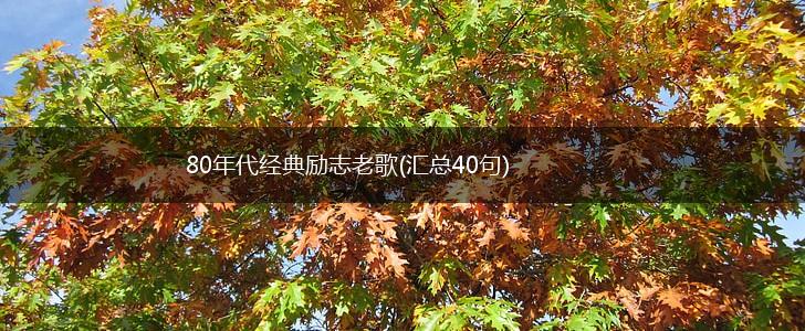 80年代经典励志老歌(汇总40句),第1张