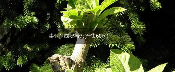 事业有成祝福语(合集60句),第1张