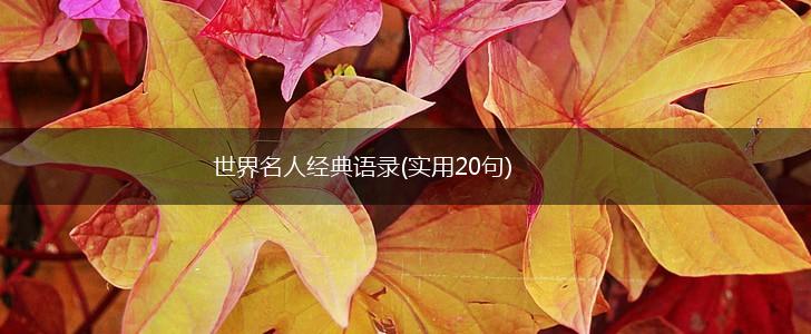 世界名人经典语录(实用20句),第1张