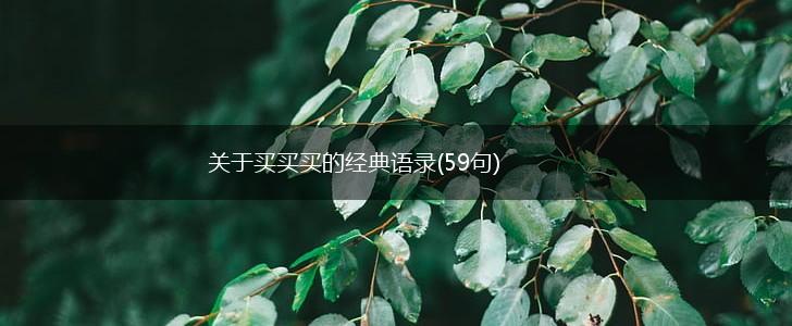 关于买买买的经典语录(59句),第1张