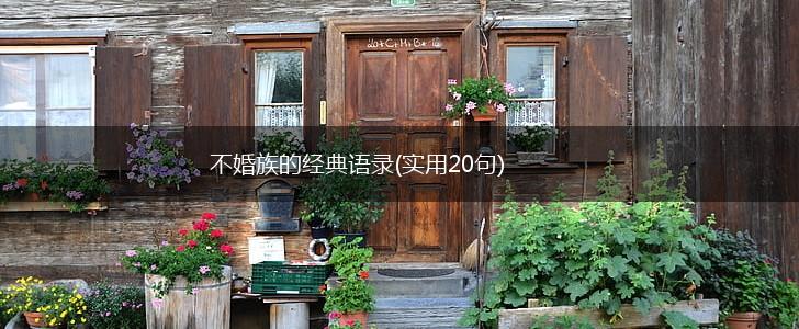 不婚族的经典语录(实用20句),第1张