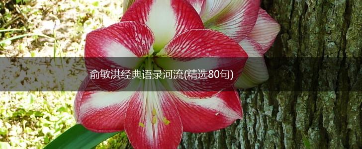 俞敏洪经典语录河流(精选80句),第1张