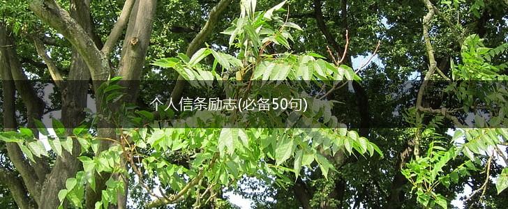 个人信条励志(必备50句),第1张