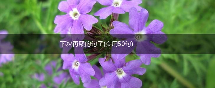 下次再聚的句子(实用50句),第1张