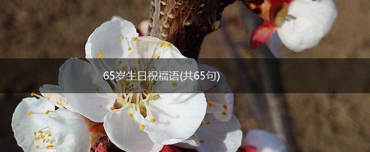 65岁生日祝福语(共65句),第1张