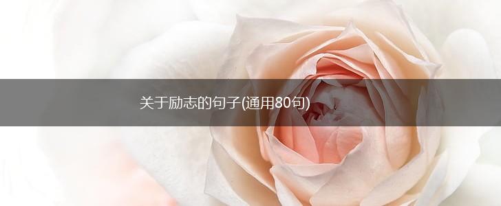 关于励志的句子(通用80句),第1张