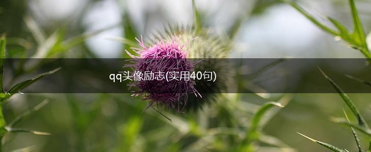 qq头像励志(实用40句),第1张